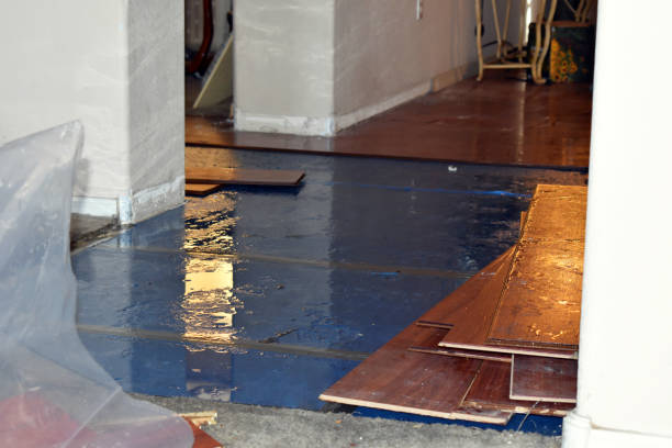 Professional Flood Cleanup technician working in Petersham, MA